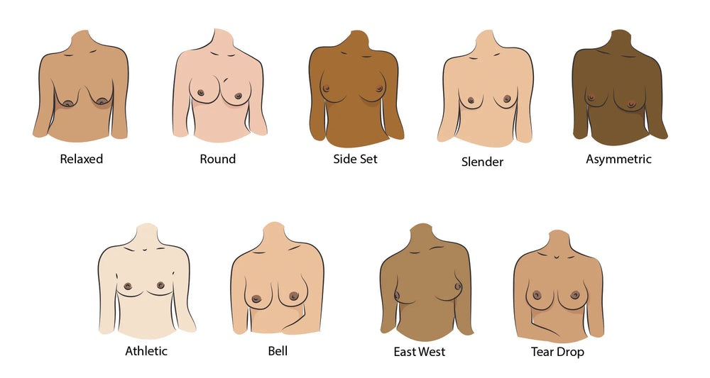An illustration depicting nine different bodies with varying skin tones and breast shapes on a white background.