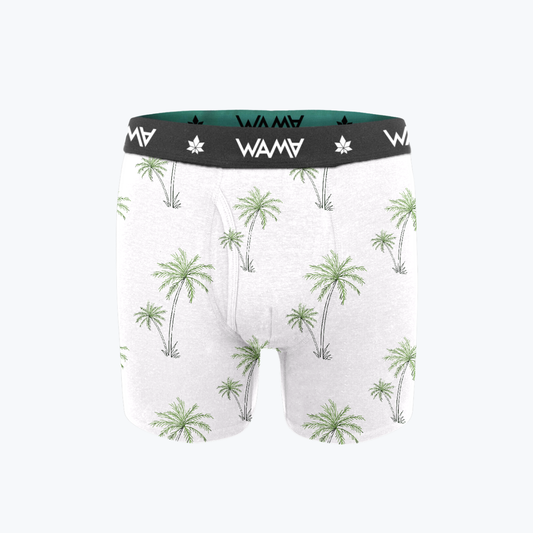 Palm Tree
