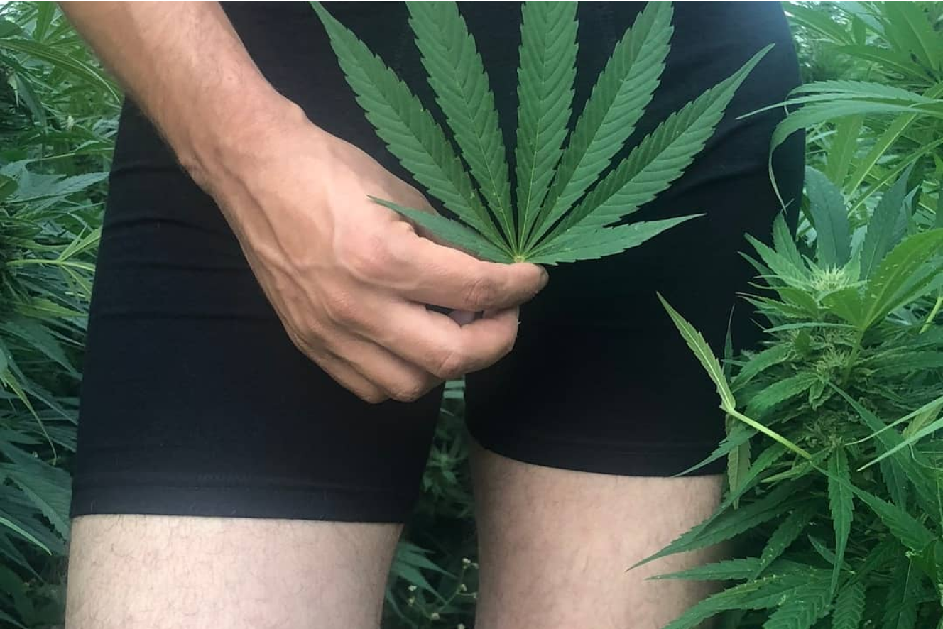 WAMA hemp underwear with model holding a hemp leaf, highlighting hemp’s natural antibacterial properties