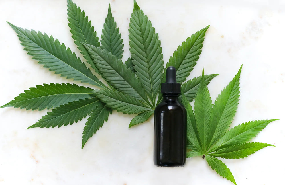 A black dropper bottle on top of three hemp leaves on a white surface.