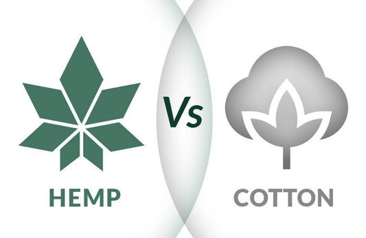 hemp vs cotton