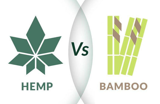 Hemp vs Bamboo: 5 Reasons Why Hemp Is More Sustainable