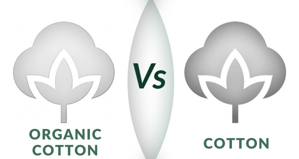 Organic Cotton vs Cotton: What's the Difference?