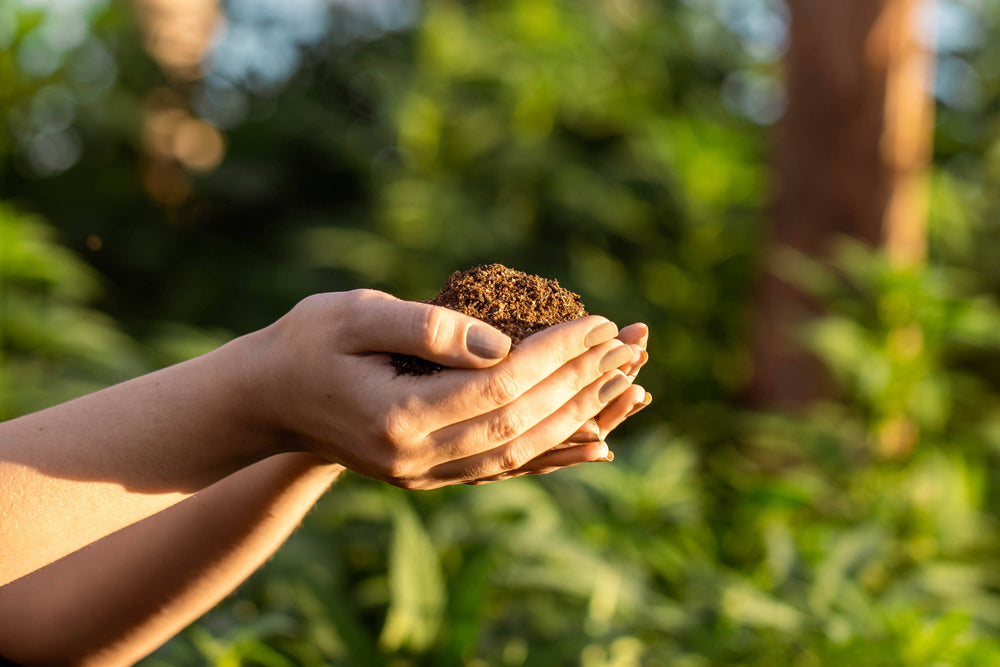 Person holding soil which has produced hemp for hemp fuel.