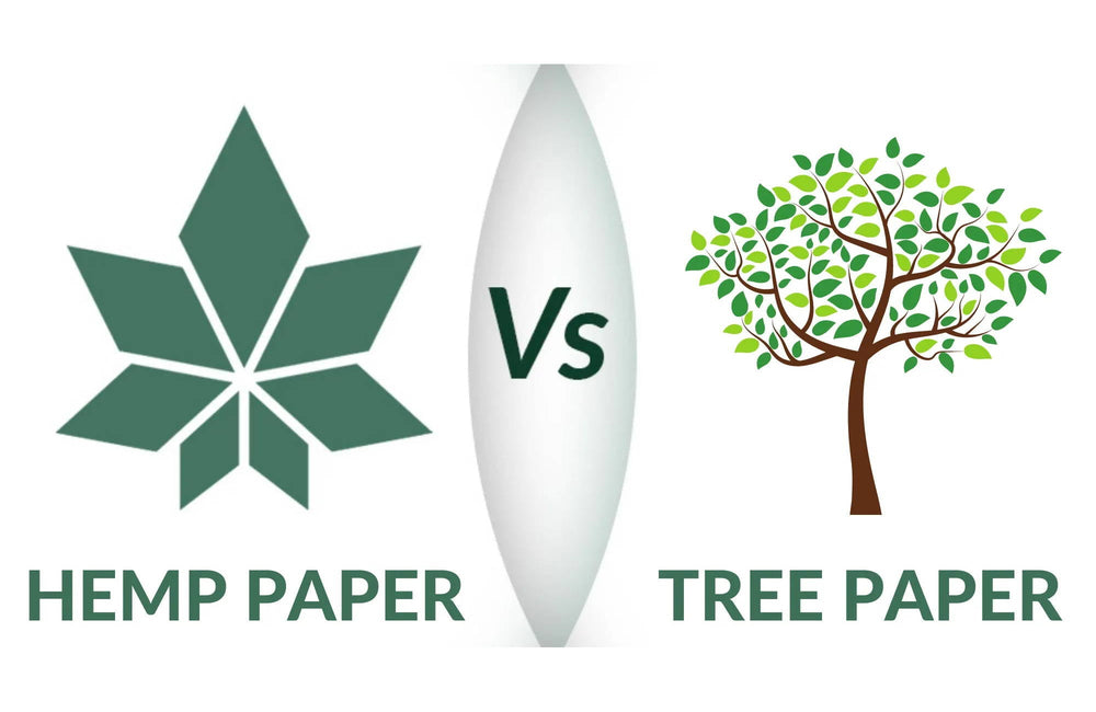 Hemp Paper vs Tree Paper: How Do They  Compare?