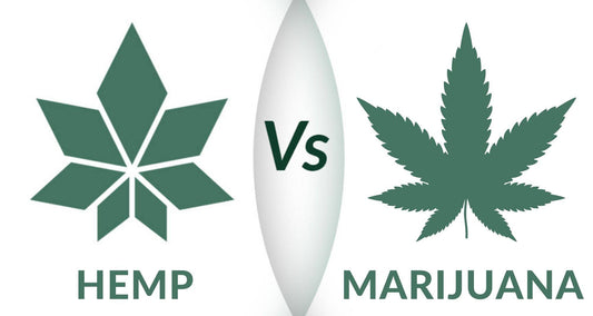 Hemp vs marijuana logo by WAMA Underwear