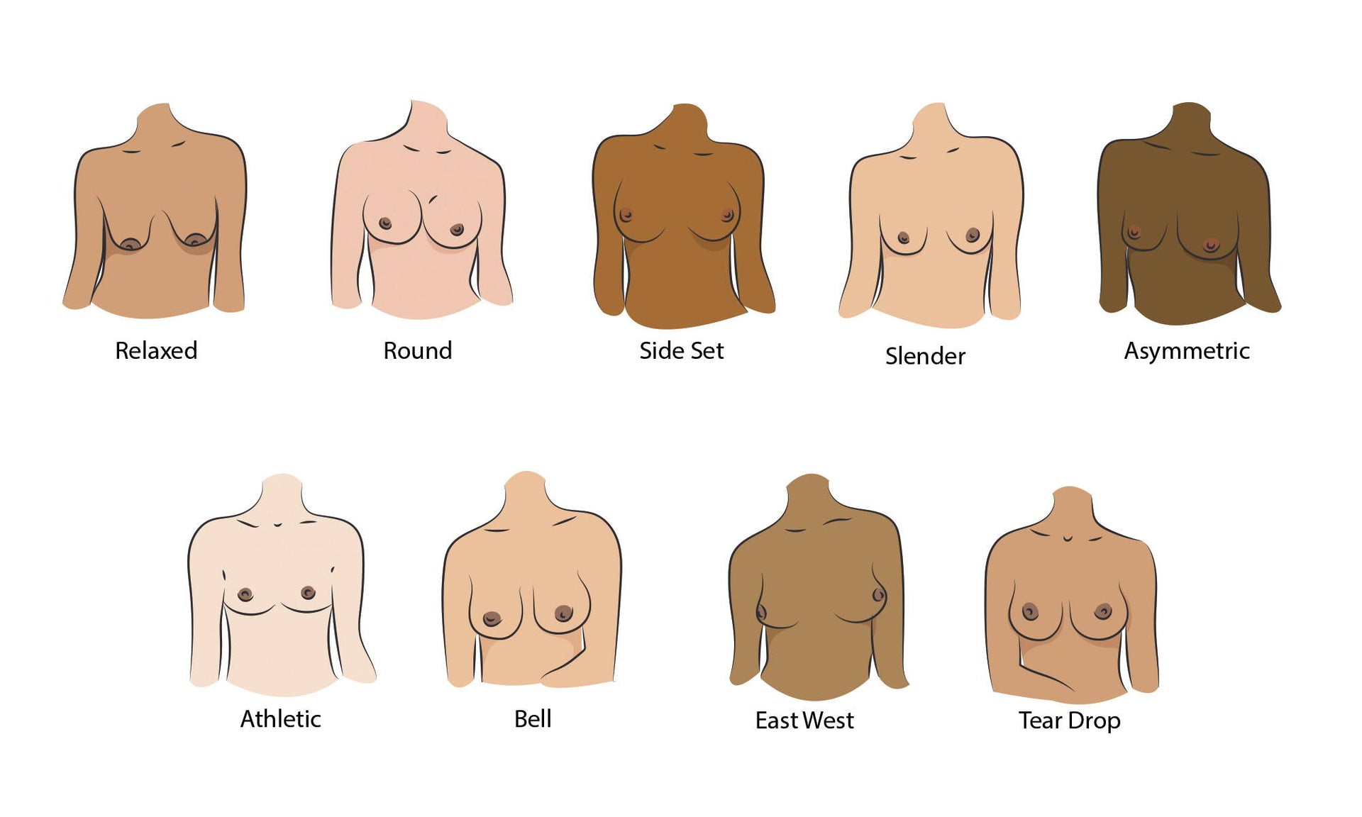Flat Round Boobs - 9 Breast Shapes And How To Support Them â€“ WAMA Underwear
