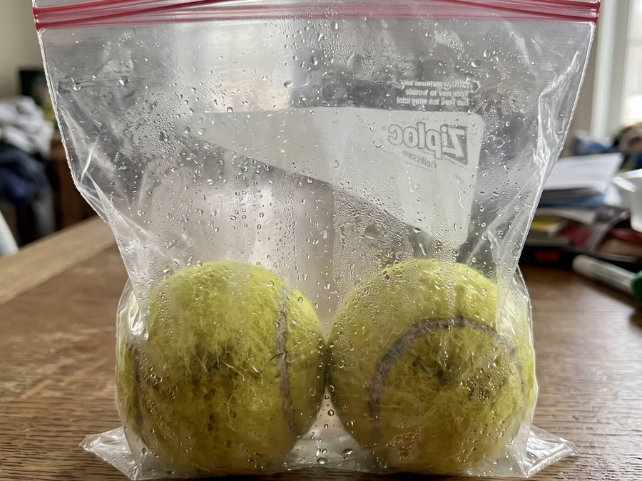 Two tennis balls sealed in a zip-lock bag beaded with condensation