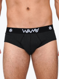 Hemp Briefs