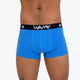 Hemp Trunks Underwear